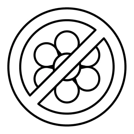 No Synthetic Fragrance - Botani Bestie